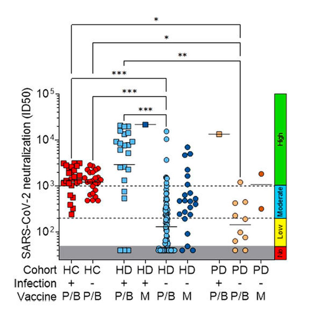 Immune Response to Vaccines in Dialysis Patients: Covid-19 and Beyond ...